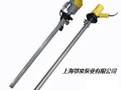 鄂泉牌電動(dòng)抽油泵 上海鄂泉泵業(yè)的高效抽油解決方案