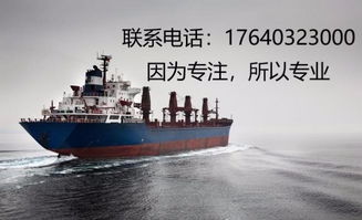 天津進(jìn)口食品報(bào)關(guān)代理與進(jìn)出口報(bào)關(guān)公司的專業(yè)服務(wù)